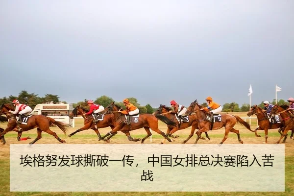 ai-ge-nu-fa-qiu-si-po-yi-chuan-zhong-guo-nv-pai-zong-jue-sai-xian-ru-ku-zhan-2-999.jpg