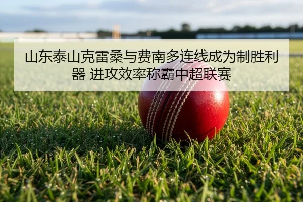 山东泰山克雷桑与费南多连线成为制胜利器 进攻效率称霸中超联赛
